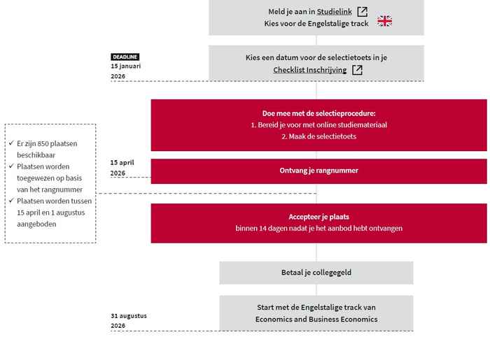Infographic voor de selectieprocedure